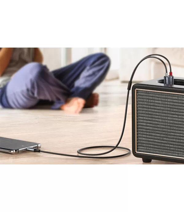  AUX kabel Type C na 2RCA (Cinch) stereo audio kabel za pametni telefon, zvučnik, tablet, pojačalo