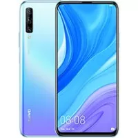 P Smart Pro 2019