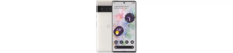 Pixel 6 Pro