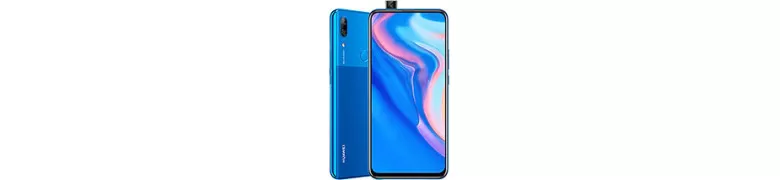 P Smart Z