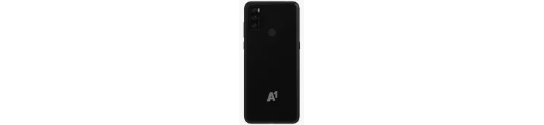 A1 Alpha 21